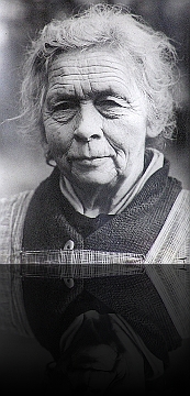 Boshuisje Melle